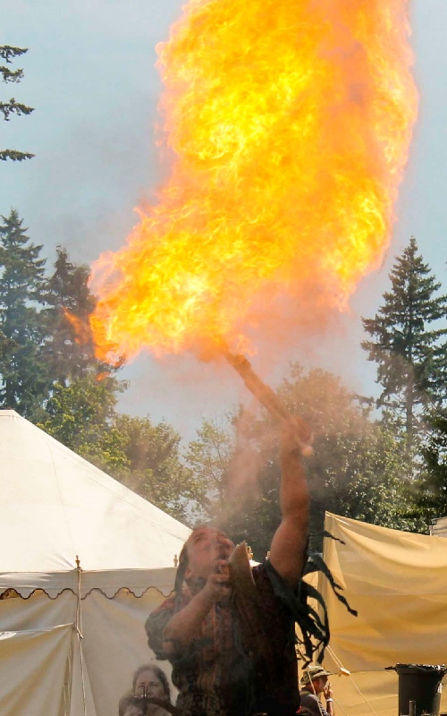 Renaissance Fair